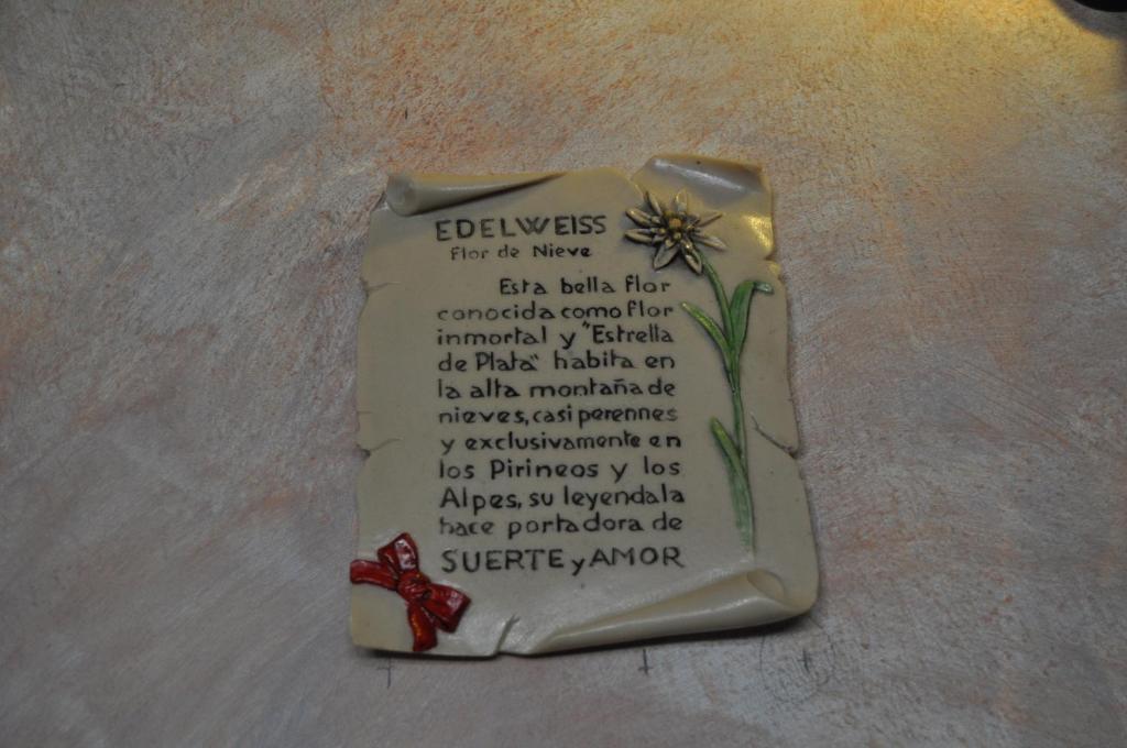 Hotel Flor De Neu El Pont de Suert Zewnętrze zdjęcie